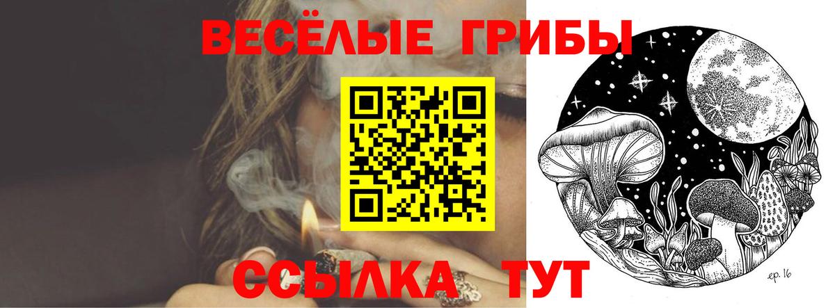 Псилоцибиновые грибы мицелий  Вход с VPN  Якутск  Галлюциногенные грибы Psilocybine cubensis 