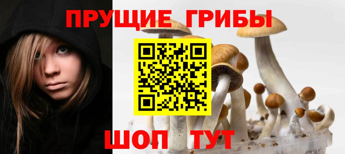 Галлюциногенные грибы прущие грибы Якутск